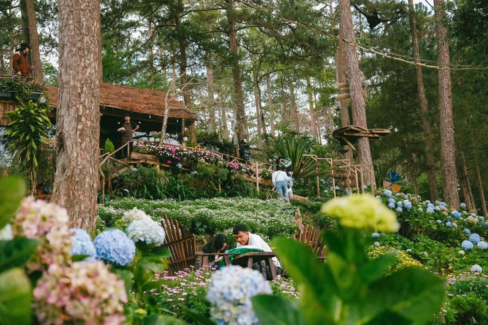 Khách đến Happy Hill chỉ cần tốn chi phí khoảng 100.000 VND để thưởng thức trọn vẹn không gian tuyệt đẹp
